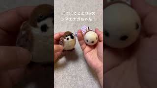 チュン太郎の羊毛フェルトのお話し／ぽてぽてことり®︎のシマエナガちゃん紹介 #のこのこ #羊毛フェルト #ぽてぽてことり