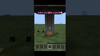 クリーパートラップで火薬集めようとしたら大変なことが起きてしまった……【マイクラ/Minecraft】#ショート#shorts