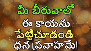 మీ బీరువాలో ఈ కాయను పేట్టిచూడండి ధన ప్రవాహమే