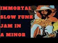 Immortal Slow Funk Jam Track in A Minor | Guitar Backing Track (67 BPM)