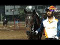 want to learn professional horse riding in bangalore nkrtv kannada horse riding classes in bangalore