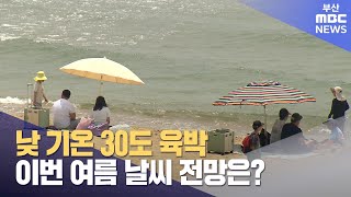 낮 기온 30도 육박..이번 여름 날씨 전망은? (2024-06-12,수/뉴스투데이/부산MBC)