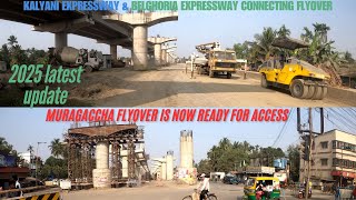 BELGHORIA EXPRESSWAY \u0026 KALYANI EXPRESSWAY CONNECTOR PROJECT LATEST UPDATE ON 2025 II MURAGACHA FLYOV