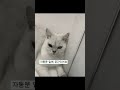 미래형 게이밍 컴퓨터