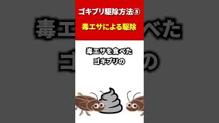 【ゴキブリ 卵】ゴキブリ駆除方法⑤毒エサによる駆除 #shorts #虫雑学 #害虫 #ゴキブリ