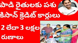 పాడి రైతులకు పశు కిసాన్ క్రెడిట్ కార్డులు మంజూరు ఏపీ||Kisan credit in AP||@JYOTHIMALLA-fx2uo