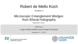 Robert de Mello Koch - Microscopic Entanglement Wedges from Bilocal Holography