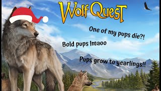 WOLFQUEST EP4 PUPS GROW TO YEARLINGS!!