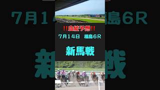 #競馬 #競馬予想 #血統 #血統予想 #競馬女子 #新馬戦 #新馬戦予想 #福島6R