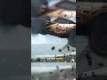 Why Pixar Changed McQueen’s Crash Scene in Cars 3