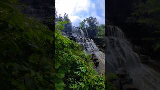 keshkal tourist place // kuyemari waterfall // keshkal Ghati //kuyemari waterfall // #shorts #video