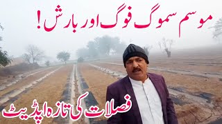 Latest of update of Smog weather and rivers موسم سموگ اور دریاوں کی تازہ ترین اپڈیٹ