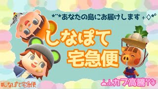 【あつ森】初見さん歓迎です　しなぽて宅急便　「638ベル」の島も同時開放中！【カブ価】【あつ森 参加型】