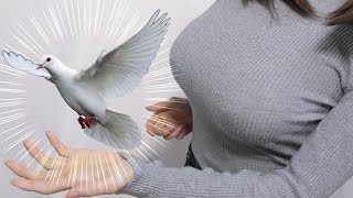 Dove Magic Trick Finally Revealed! 【Great 5 Illusions Tutorial】