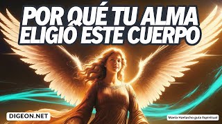 Hay una Razón Espiritual💌MENSAJE DE LOS ÁNGELES PARA TI -DIGEON- Arcángel jofiel- Enseñanza VERTI