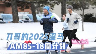 2025 温马 AM85 W16 - 距离123公里，配速4:56，开始恢复撸铁