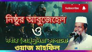 নিষ্ঠুর আবুজেহেল ও নবীর (সা:) দুনিউ কাপানো ওয়াজ মাহফিল । মওলানা তুফাজ্জল হুচাইন ভৈরবী