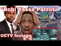 Akatambi😭Mbu Bobi Yasse Master Parrot Family eganye Okukiriza enfa  Bamulangidde Obutemu Maziga goka