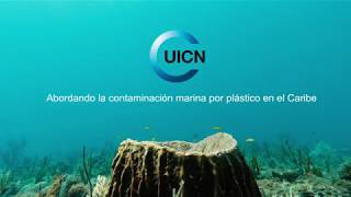 Abordando la contaminación marina por plástico en el Caribe