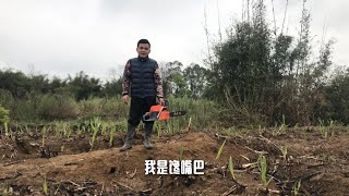 105：【山野小刚】厉害了农村小伙用油锯烟熏老鼠，烟雾惊人，最后收获了一只大货