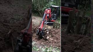 Jarett Removing Stumps with Mini Excavator