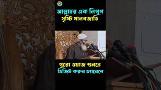 আল্লাহর এক নিপুণ সৃষ্টি মানবজাতি | আল্লামা লুৎফর রহমান ওয়াজ | lutfur rahman waz 2023