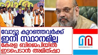 കേരള ബിജെപിയില്‍ ഇടപെടലിന് അമിത്ഷാ l Kerala Bjp