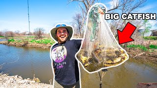 Cast Netting HUNDREDS of BIG FISH to FEED My PET FISH!!!