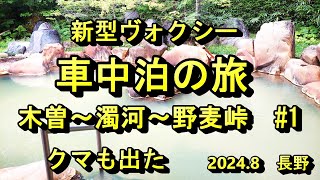 新型ヴォクシー　車中泊の旅　木曽～濁河～野麦　#1　クマも出た！