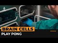 Lab-grown brain cells play Pong computer game