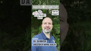 Ask an Expert: World Elephant Day with Dr. Jb Minter