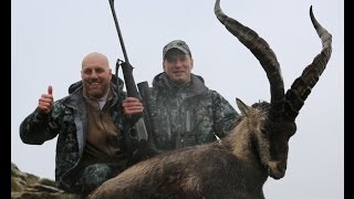 Охота в Испании на козерогов - Hunting in Spain for Ibex