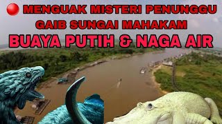 🔴 MENGUAK MISTERI PENUNGGU GAIB SUNGAI MAHAKAM ❗️❗️BUAYA PUTIH \u0026 NAGA AIR. SIAPA MEREKA ❓️❓️