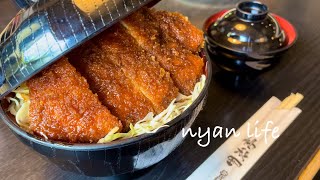 【nyan life】長野県駒ヶ根☆ログハウスとソースカツ丼