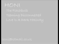 The Flashbulb - Teeming Disconnected.wmv