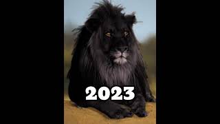 2024 Black Lion and 5000 bce Black Lion#blacklion#viral#shorts.