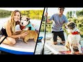 Top 5 Best Paddle Boards For Dogs Reviews 2023 - Best Inflatable Paddle Board For Dog