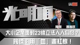 大小企業面對23條立法人人自危？   陶傑：用「血」畫紅線！