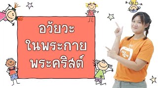 บทเรียนคริสตจักรเด็ก เรื่อง อวัยวะในพระกายพระคริสต์