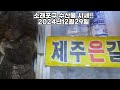 소래포구2024년12월29일수산물 시세