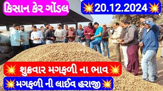 નવી મગફળીના બજાર ભાવ | મગફળીના આજના બજાર ભાવ | ગોંડલ મગફળીના ભાવ | Gondal marketing yard 20.12.2024