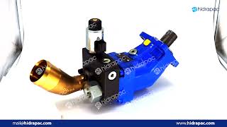 Bent Axis Piston Pumps Motors 12V By Pass Valve