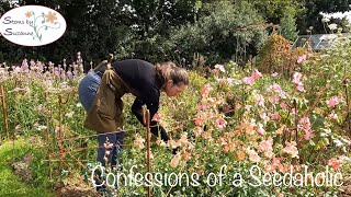 How Many Cut Flower Varieties Should I Grow// Stems by Suzanne Cut Flower Garden🌺