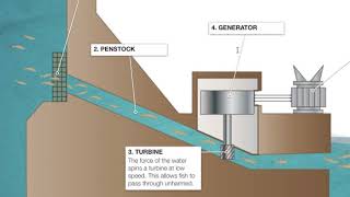 How Hydroelectric Dams Work