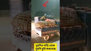 মুরগির গাড়ি থেকে মুরগি চুরি করতেছে #Stealchickenfromcar #chickenthief  #viral #technique #shorts