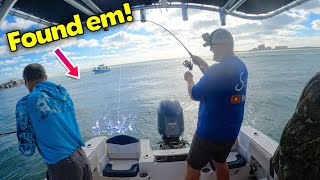 We dropped right on top of these big dinner fish!