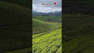 Places to visit in Monsoon 2024||Munnar|| Kerala || #teagarden #kerala #monsoon #nature #therapy