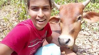 ಕೊನೆಗೂ ನನ್ನ ಇಷ್ಟದ ಸೀತಾಫಲ ಹಣ್ಣಾಯ್ತು..😋🌳|| Vlog