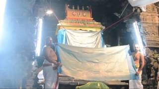 ஸ்ரீ பேரருளாளன் பல்லவ உத்ஸவம். Sri Perarulalan Pallava uthsavam