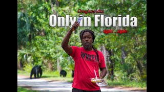 Only in Florida... Again. Again.